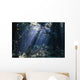 Sun Beams Through Fog And Forest Trees Wall Mural