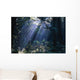Sun Beams Through Fog And Forest Trees Wall Mural