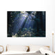 Sun Beams Through Fog And Forest Trees Wall Mural