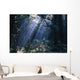 Sun Beams Through Fog And Forest Trees Wall Mural