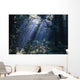 Sun Beams Through Fog And Forest Trees Wall Mural
