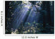 Sun Beams Through Fog And Forest Trees Wall Mural