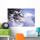 Tracks In The Snow Wall Mural