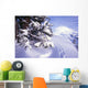 Tracks In The Snow Wall Mural