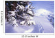 Tracks In The Snow Wall Mural