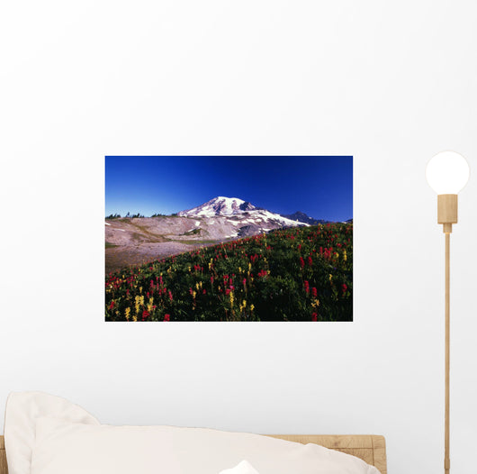 Paradise Park Valley, Mount Rainier National Park Wall Mural