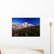 Paradise Park Valley, Mount Rainier National Park Wall Mural