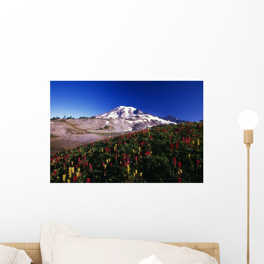 Paradise Park Valley, Mount Rainier National Park Wall Mural