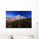 Paradise Park Valley, Mount Rainier National Park Wall Mural