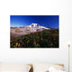 Paradise Park Valley, Mount Rainier National Park Wall Mural