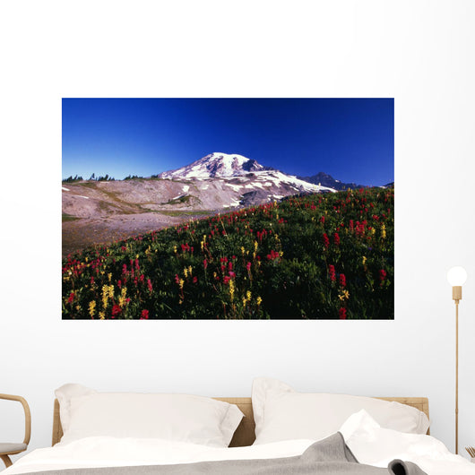 Paradise Park Valley, Mount Rainier National Park Wall Mural