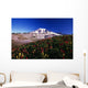 Paradise Park Valley, Mount Rainier National Park Wall Mural
