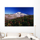 Paradise Park Valley, Mount Rainier National Park Wall Mural