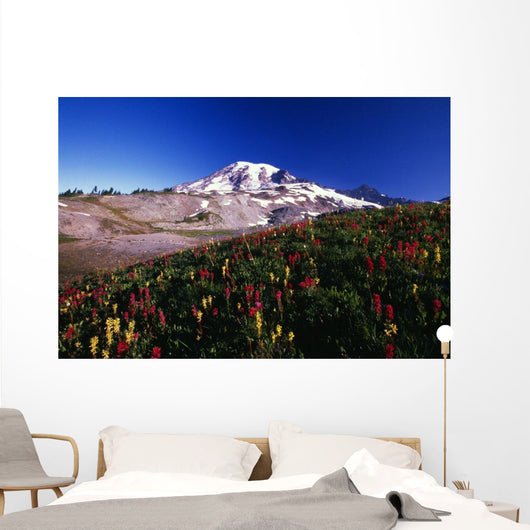 Paradise Park Valley, Mount Rainier National Park Wall Mural