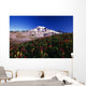 Paradise Park Valley, Mount Rainier National Park Wall Mural