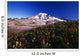 Paradise Park Valley, Mount Rainier National Park Wall Mural