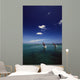 Two Bottlenose Dolphins Dancing Across Water On Tails, Caribbean Sea Wall Mural