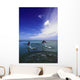 Two Bottlenose Dolphins Leaping Out Of Water, Caribbean Sea Wall Mural