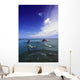 Two Bottlenose Dolphins Leaping Out Of Water, Caribbean Sea Wall Mural
