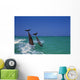 Bottlenose Dolphins Diving, Caribbean Sea Wall Mural