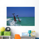 Bottlenose Dolphins Diving, Caribbean Sea Wall Mural