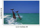 Bottlenose Dolphins Diving, Caribbean Sea Wall Mural