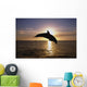 Silhouette Of Bottlenose Dolphin Leaping, Sunset, Caribbean Sea Wall Mural