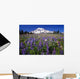 Purple Flowers Blooming Beneath Mount Rainier, Paradise Park Valley Wall Mural