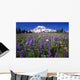 Purple Flowers Blooming Beneath Mount Rainier, Paradise Park Valley Wall Mural