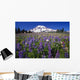 Purple Flowers Blooming Beneath Mount Rainier, Paradise Park Valley Wall Mural