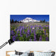 Purple Flowers Blooming Beneath Mount Rainier, Paradise Park Valley Wall Mural