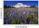 Purple Flowers Blooming Beneath Mount Rainier, Paradise Park Valley Wall Mural