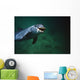 Underwater Close-Up Of Smiling Bottlenose Dolphin Wall Mural