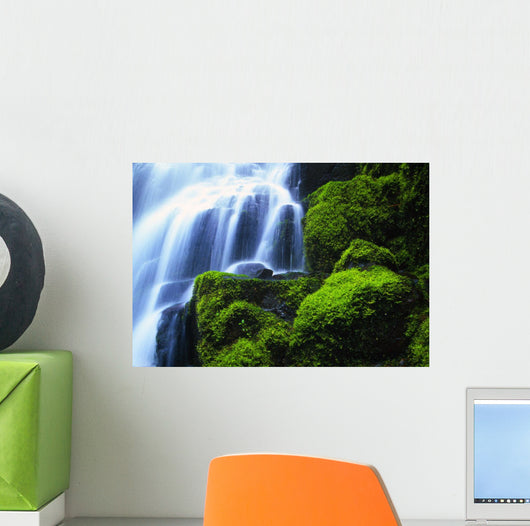 Waterfall On Wahkeena Creek, Columbia River Gorge Wall Mural