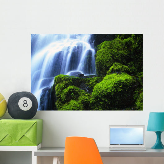 Waterfall On Wahkeena Creek, Columbia River Gorge Wall Mural