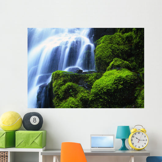 Waterfall On Wahkeena Creek, Columbia River Gorge Wall Mural