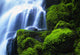 Waterfall On Wahkeena Creek, Columbia River Gorge Wall Mural