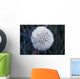 Frost On Mature Dandelion Blossom Wall Mural