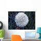 Frost On Mature Dandelion Blossom Wall Mural