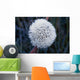 Frost On Mature Dandelion Blossom Wall Mural