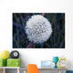 Frost On Mature Dandelion Blossom Wall Mural