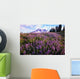 Meadow Of Purple Flowers Blooming Wall Mural