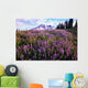 Meadow Of Purple Flowers Blooming Wall Mural