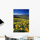 Yellow Flowers Blooming, Hood River Valley, Mount Hood Wall Mural