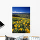 Yellow Flowers Blooming, Hood River Valley, Mount Hood Wall Mural