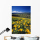 Yellow Flowers Blooming, Hood River Valley, Mount Hood Wall Mural