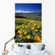 Yellow Flowers Blooming, Hood River Valley, Mount Hood Wall Mural