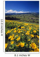 Yellow Flowers Blooming, Hood River Valley, Mount Hood Wall Mural
