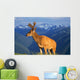 Deer With Antlers, Mountain Range In Background, Olympic National Park Wall Mural