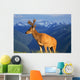 Deer With Antlers, Mountain Range In Background, Olympic National Park Wall Mural